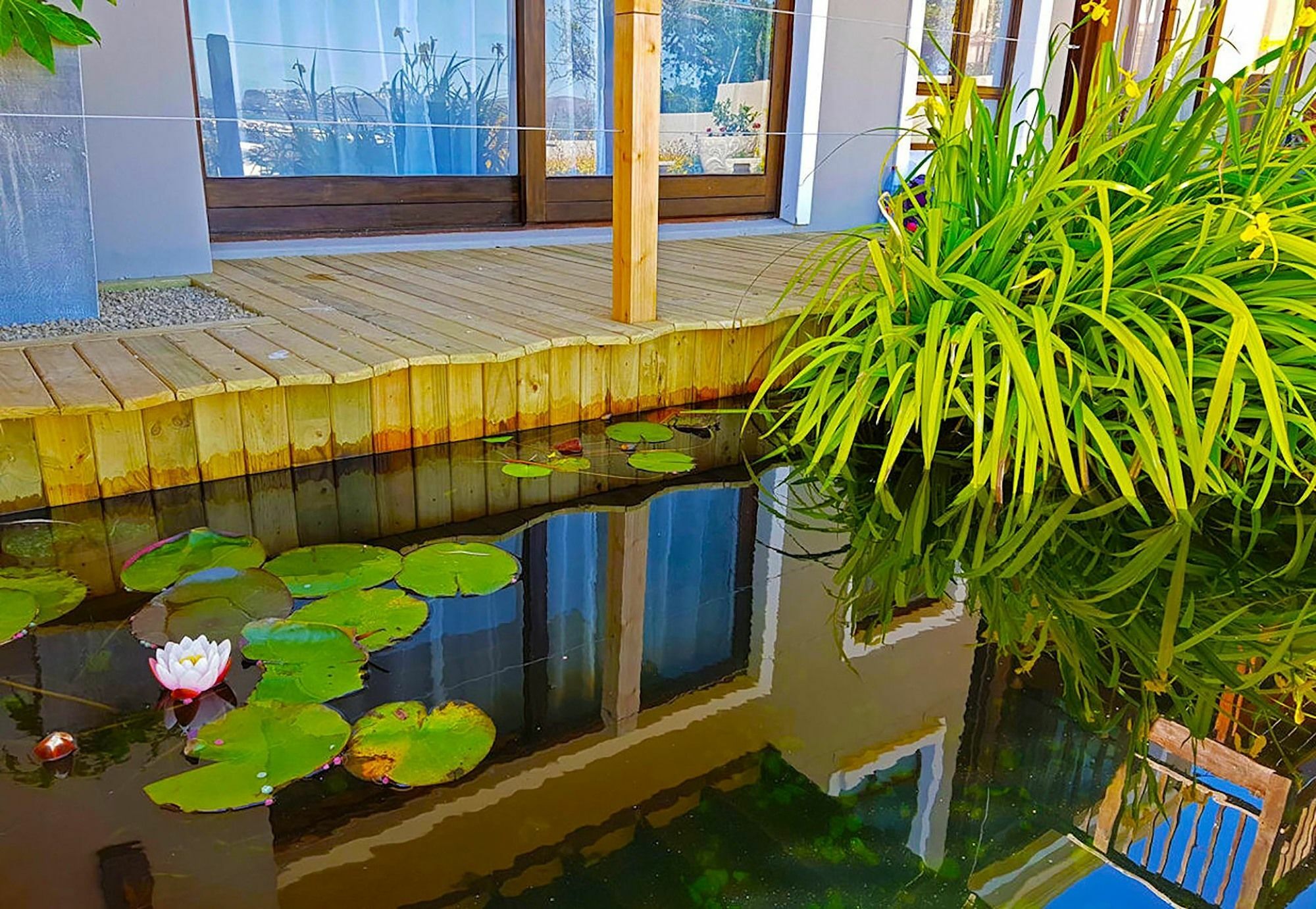 Hotel Claude Knysna Kültér fotó